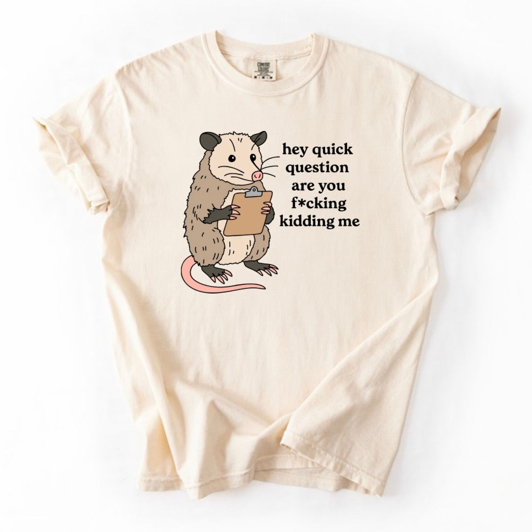 Hey quick question T-shirt