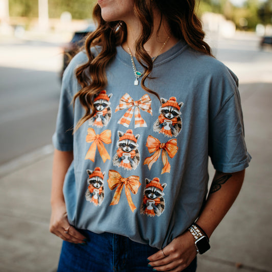 Raccoon T-shirt