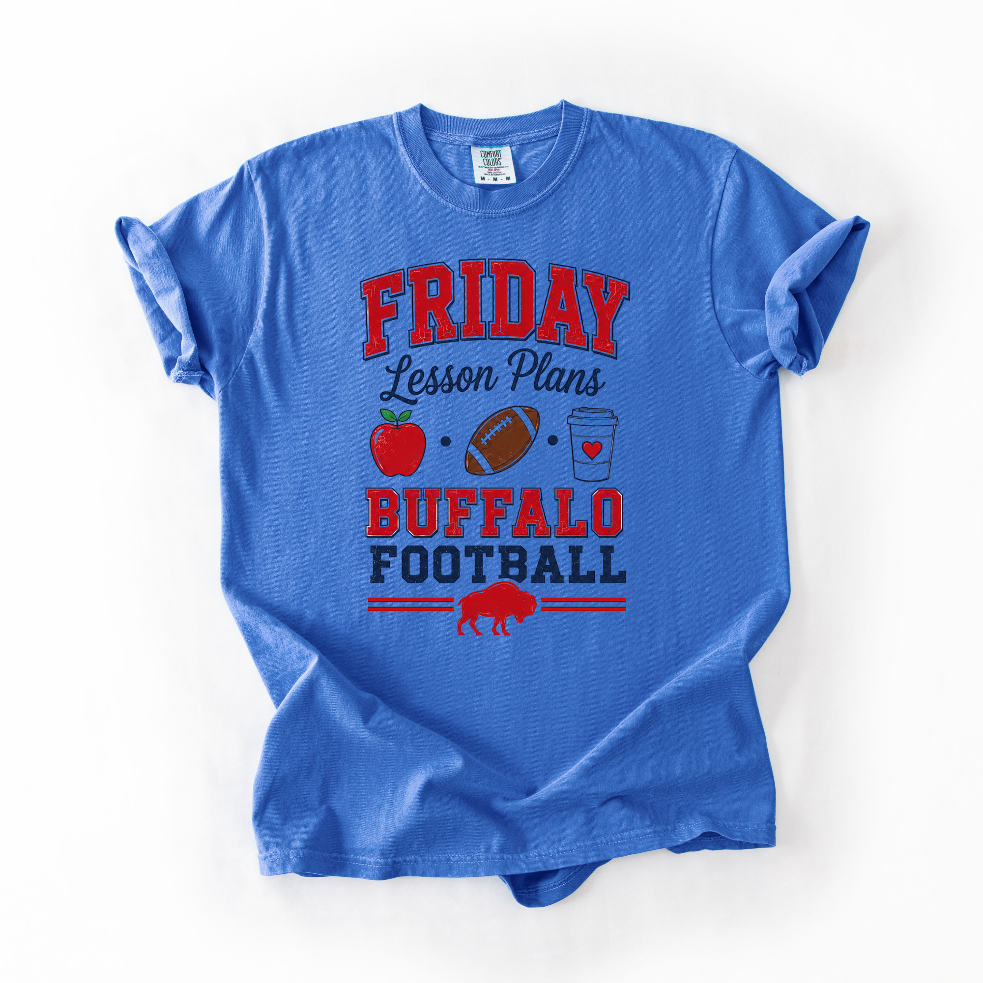 Friday lesson plans T-shirt