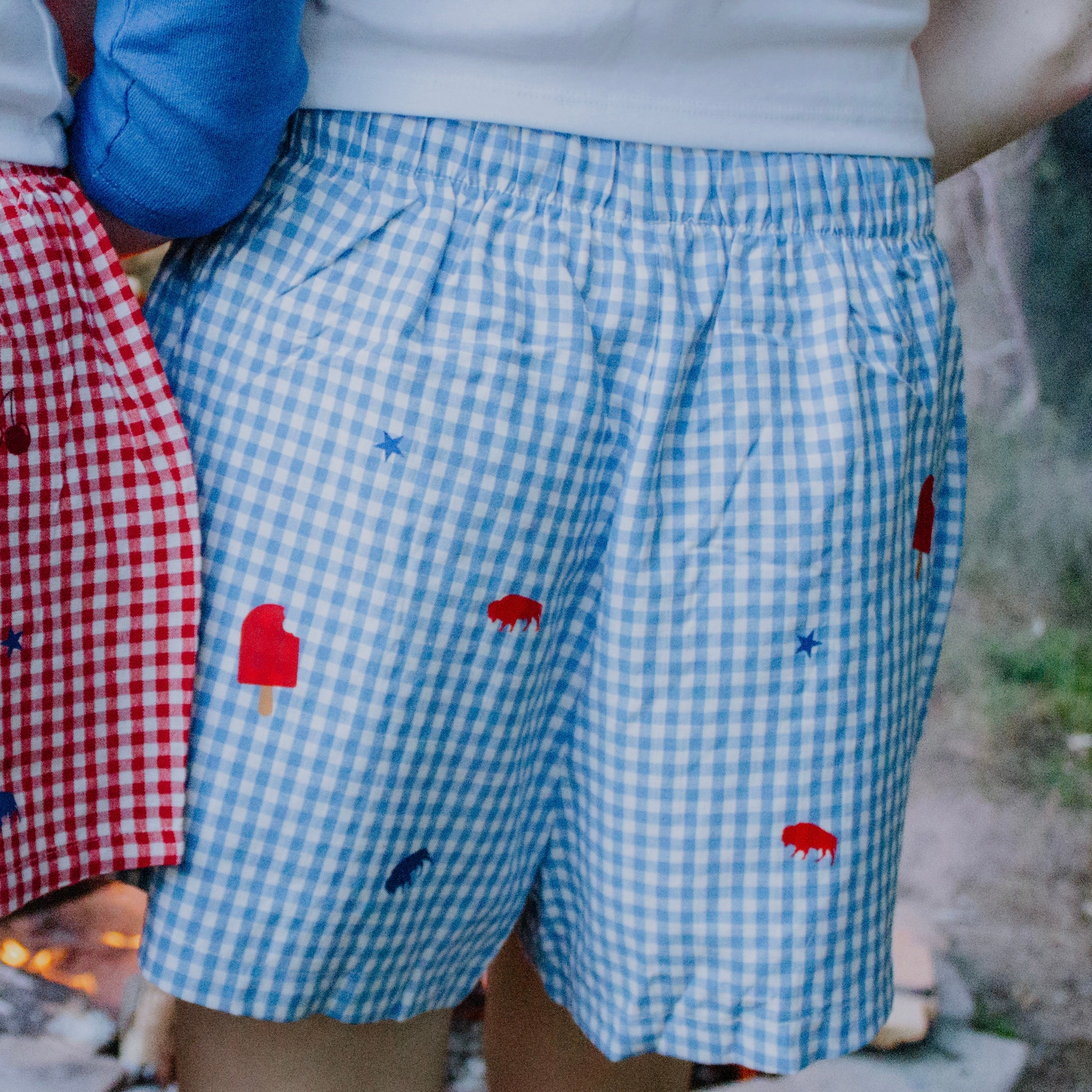 Popsicle Buffalo boxer shorts