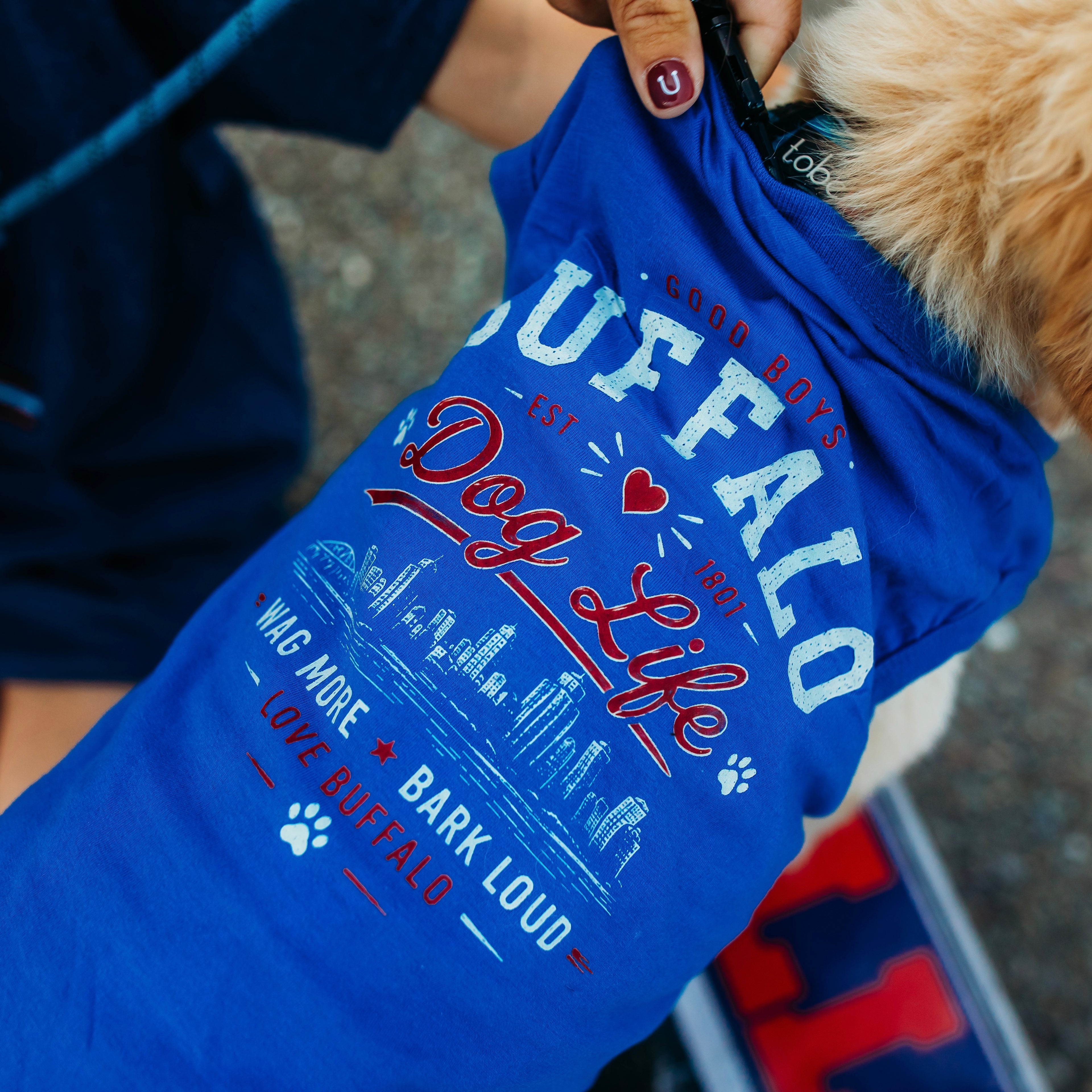 Buffalo dog shirt