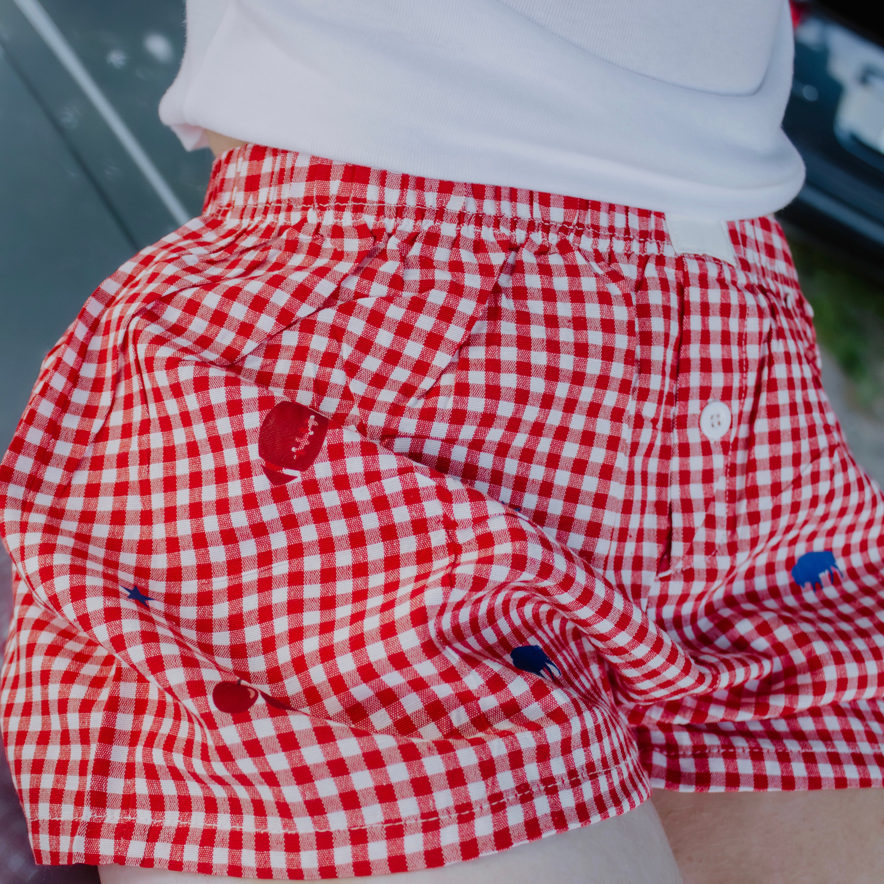 Cherry Buffalo boxer shorts