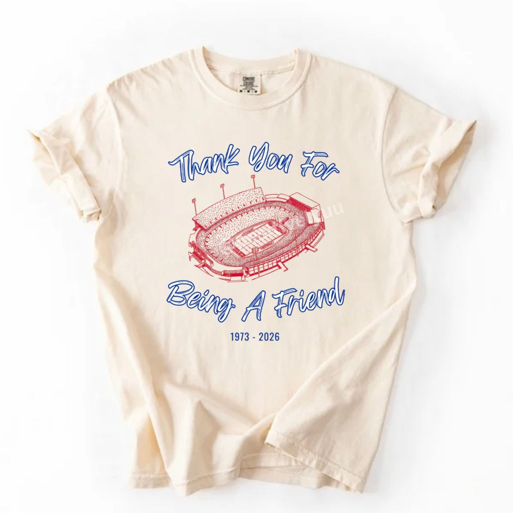 Thank you for being a friend T-shirt