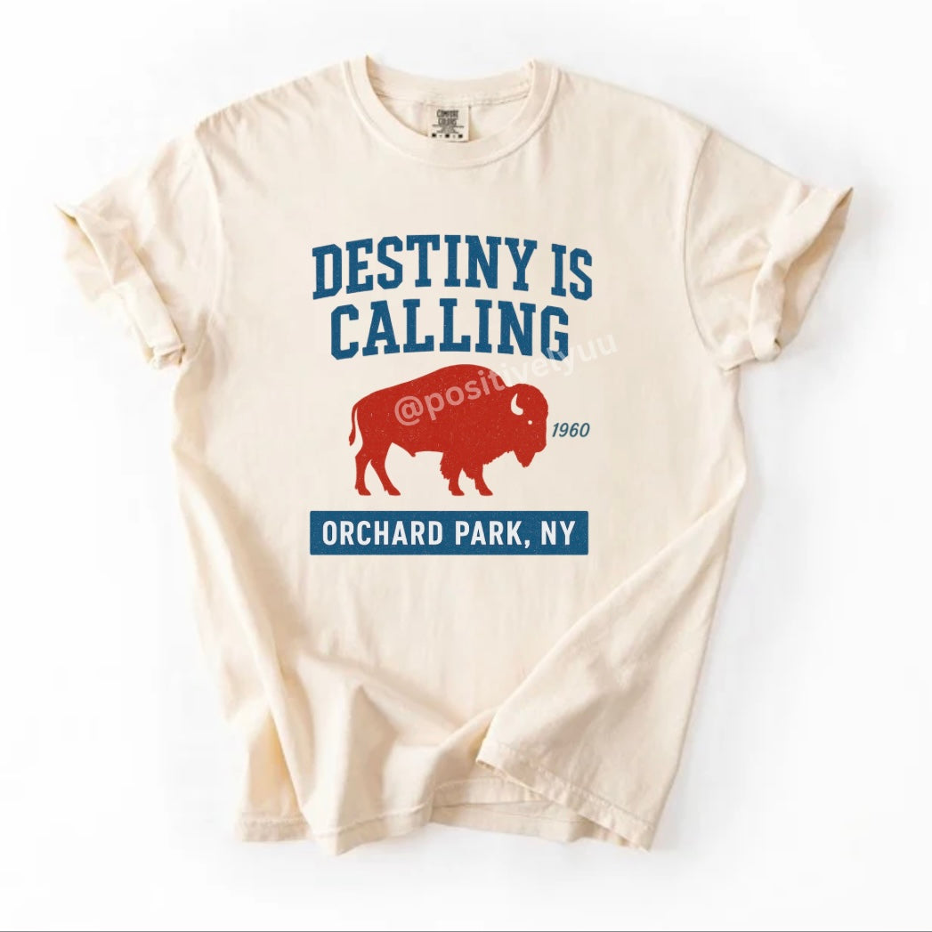 Destiny T-shirt