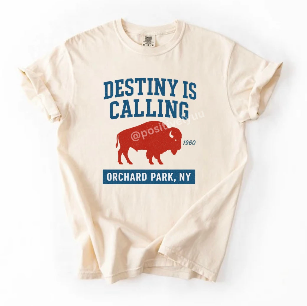 Destiny T-shirt