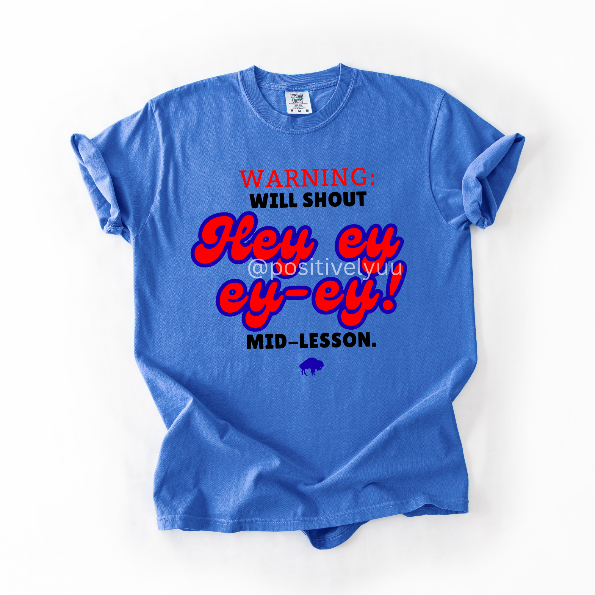 Buffalo teacher T-shirt