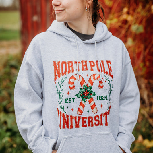 North Pole University Hoodie