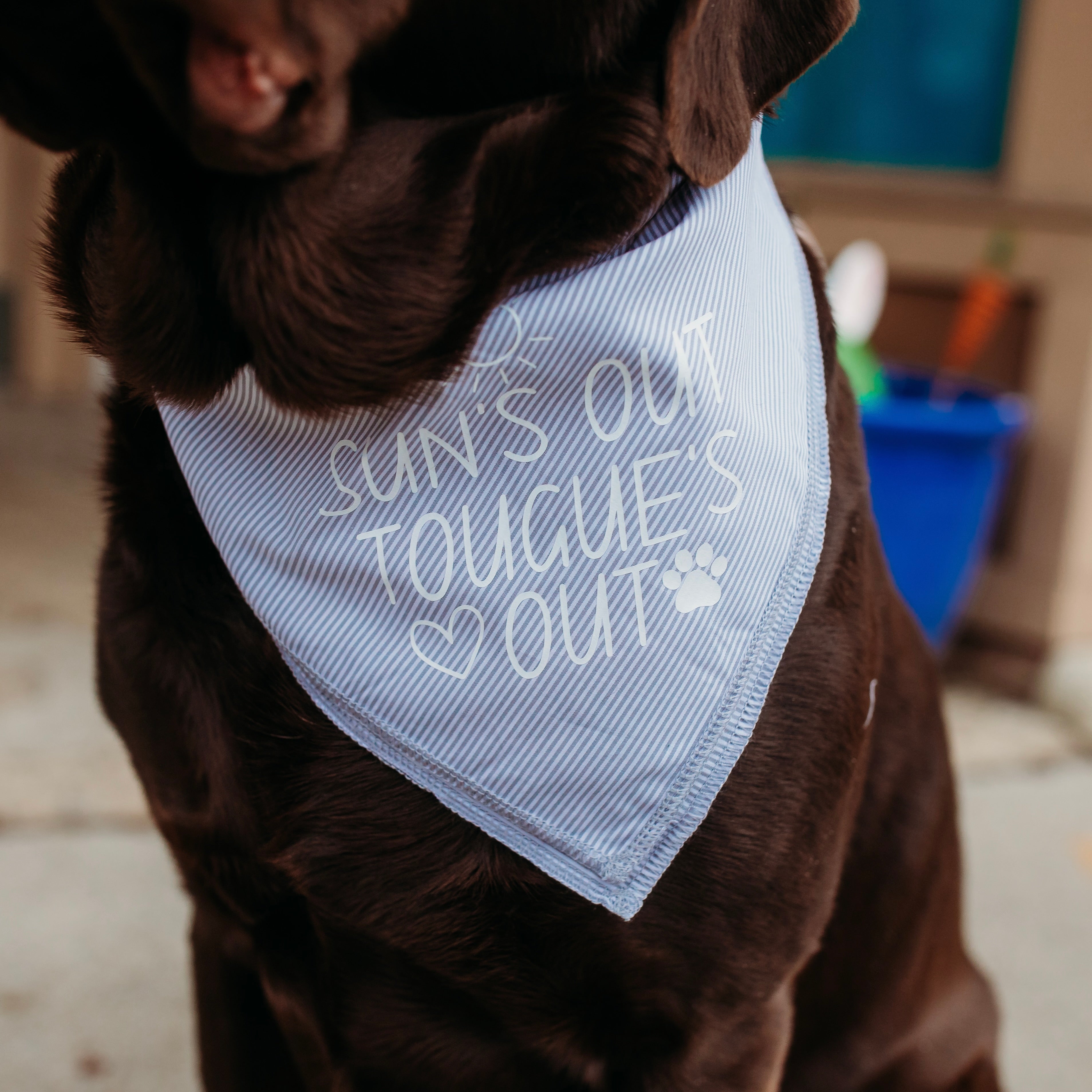tongues out bandana