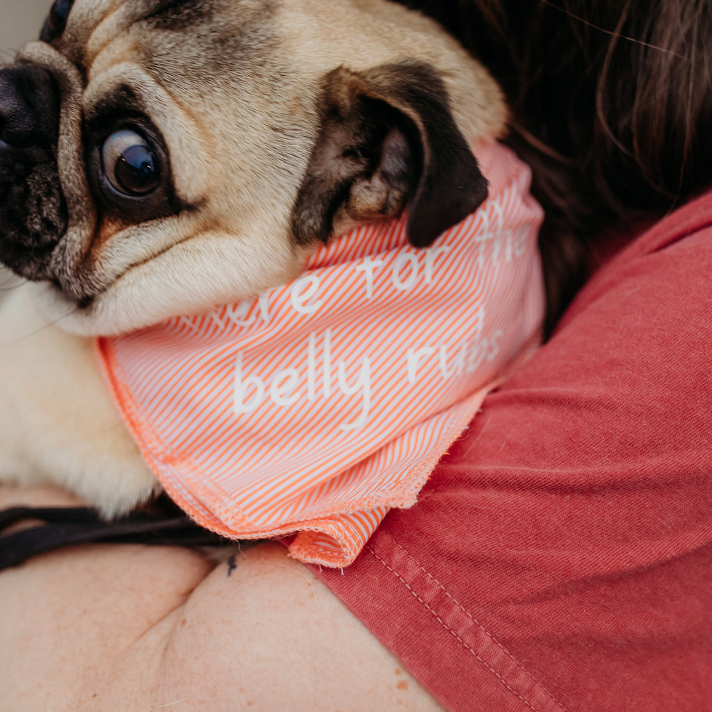 belly rubs bandana