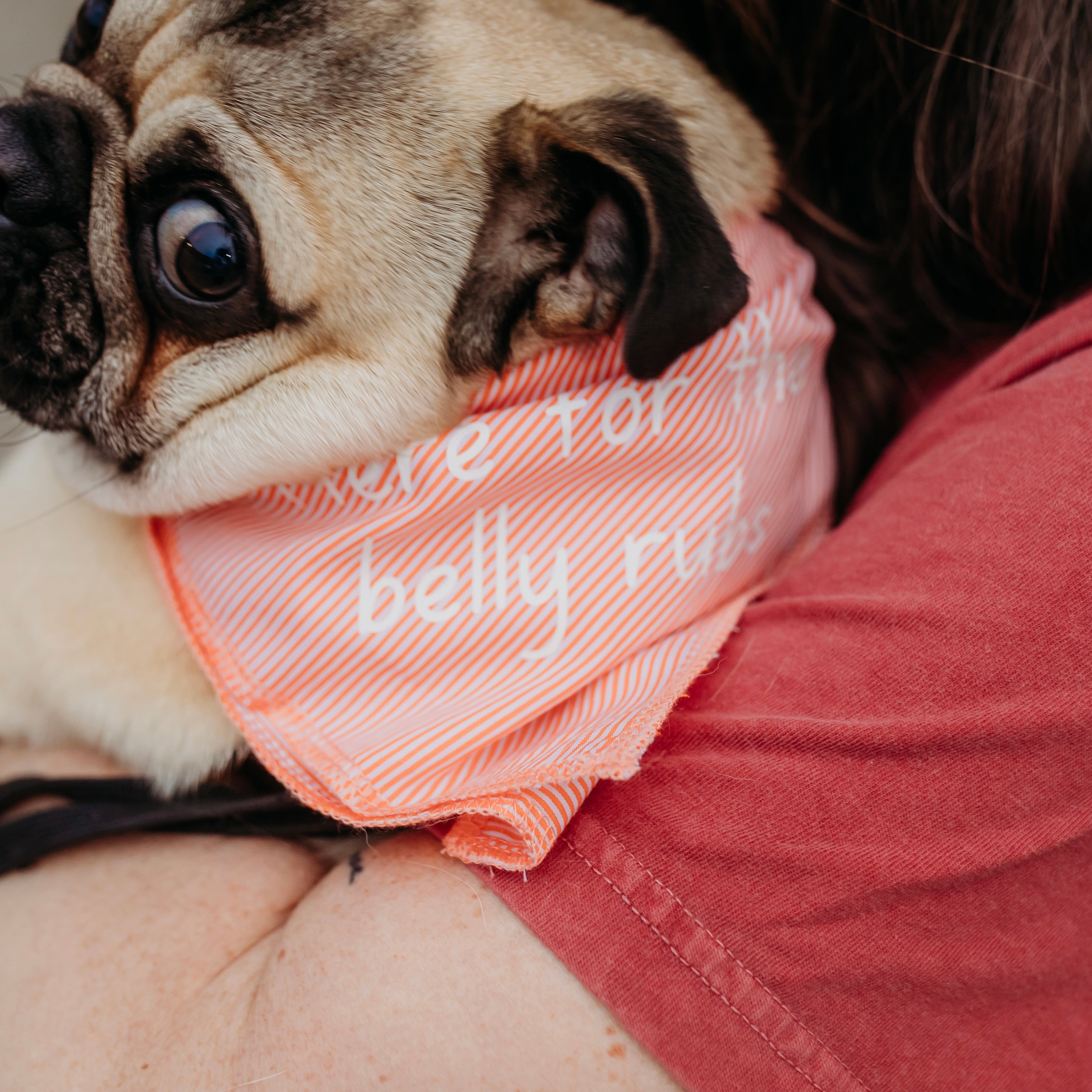 belly rubs bandana