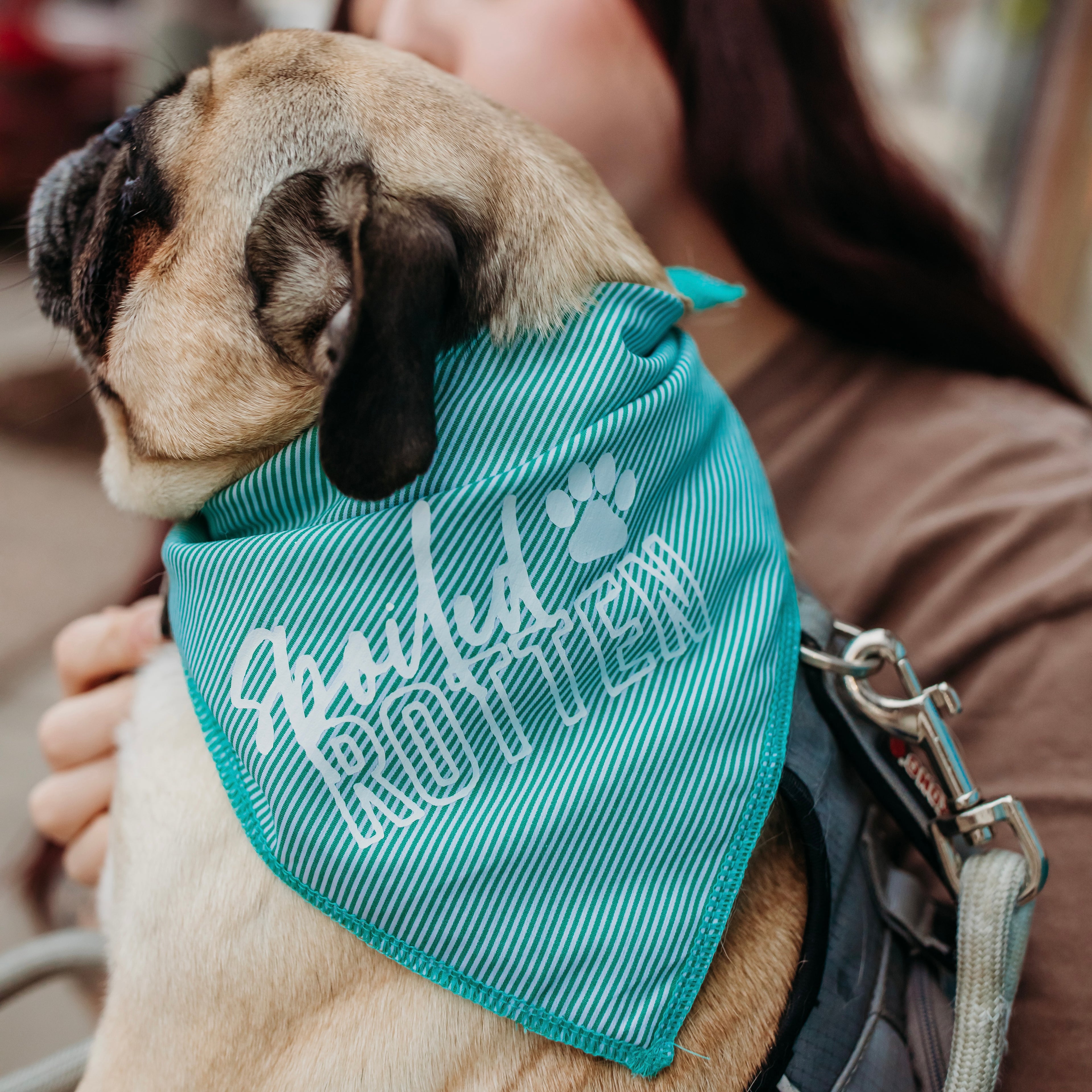 spoiled rotten bandana