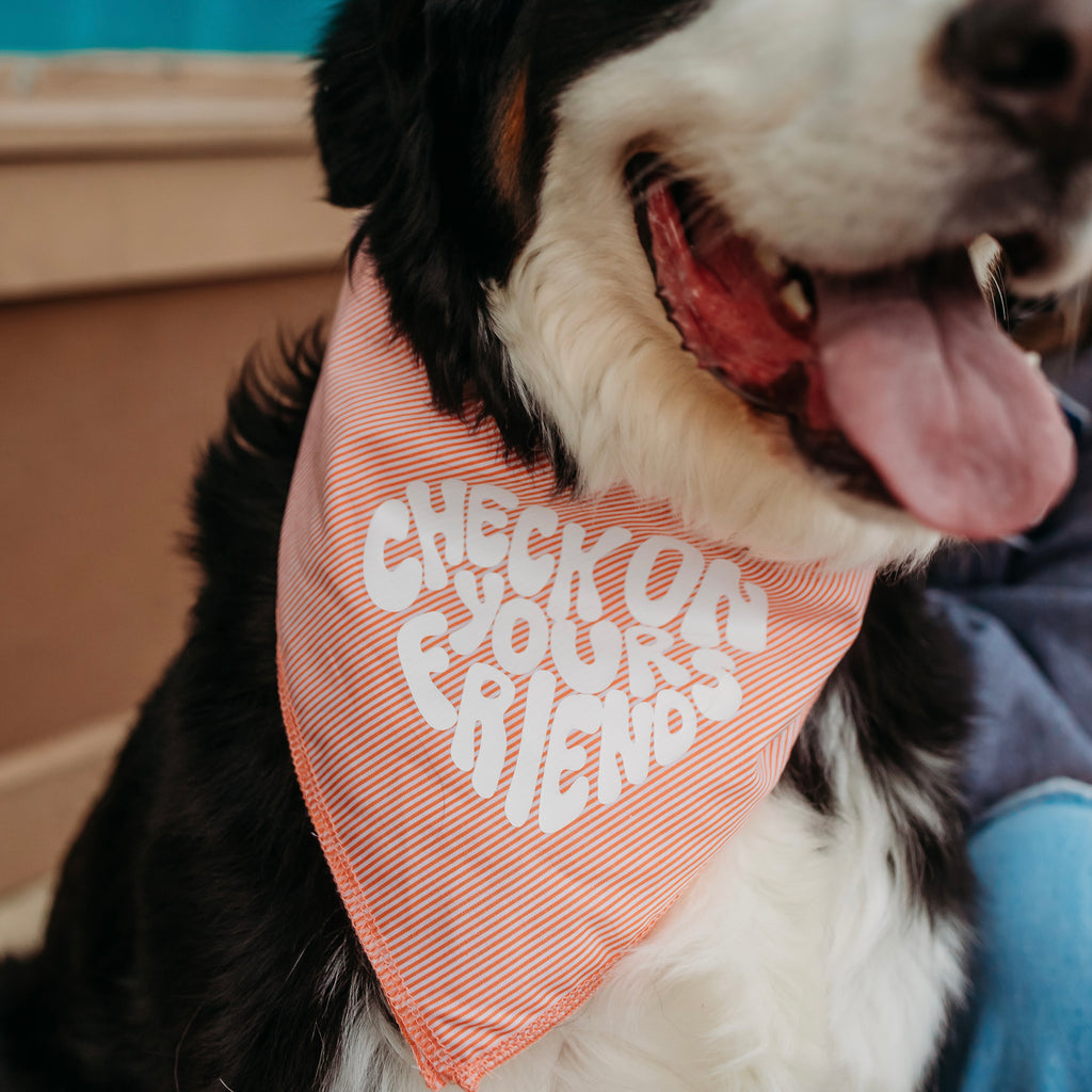 Check on your friends bandana