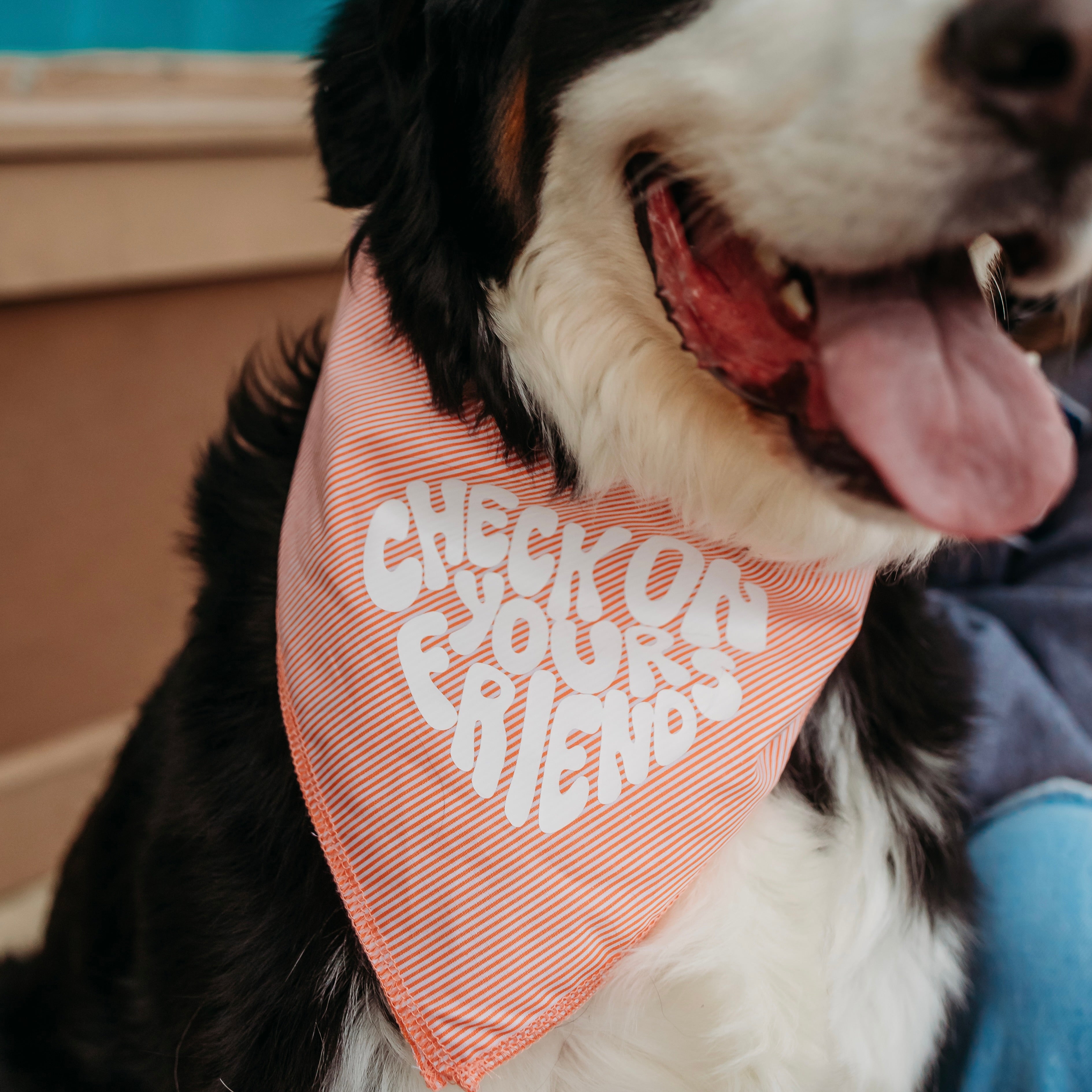 Check on your friends bandana