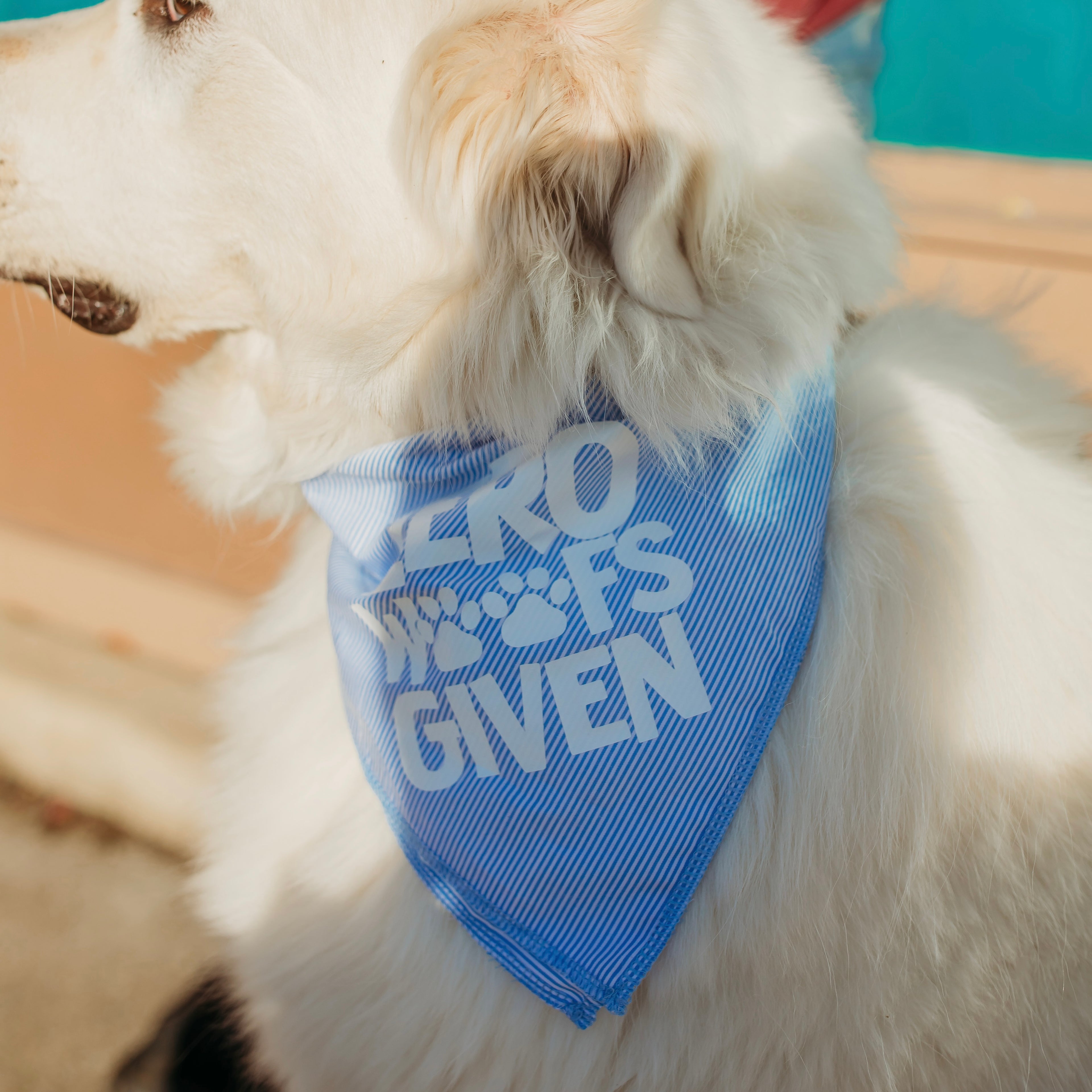 Zero woofs bandana